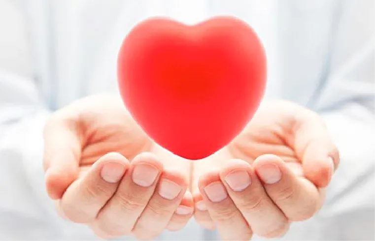 チーム医療による高品質な治療