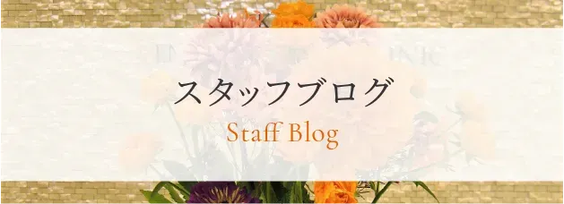 スタッフブログ