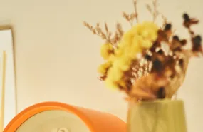 採用情報のイメージ