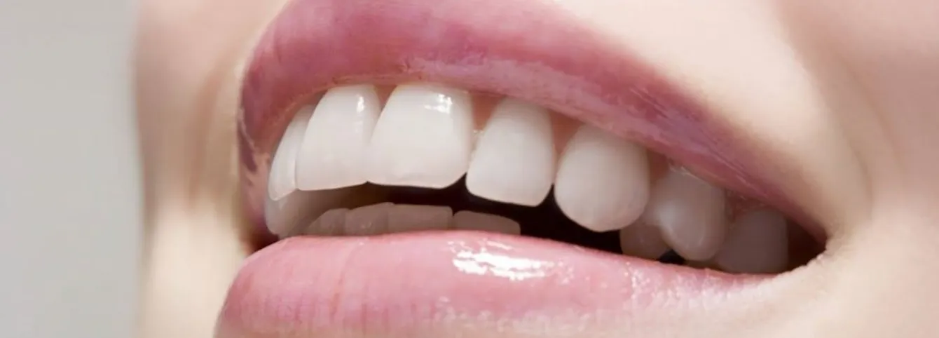 審美 矯正歯科 専門歯科医師