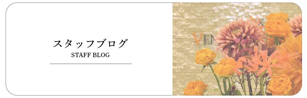 スタッフブログ